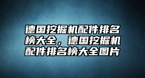 德國挖掘機配件排名榜大全，德國挖掘機配件排名榜大全圖片