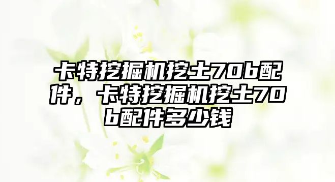 卡特挖掘機挖土70b配件，卡特挖掘機挖土70b配件多少錢