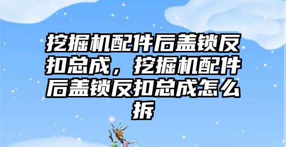 挖掘機(jī)配件后蓋鎖反扣總成，挖掘機(jī)配件后蓋鎖反扣總成怎么拆