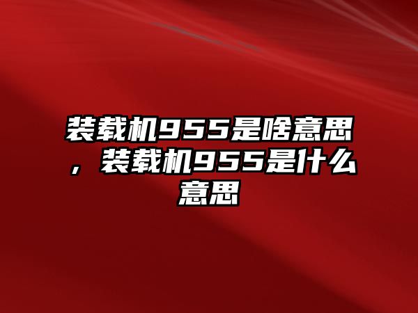 裝載機955是啥意思，裝載機955是什么意思