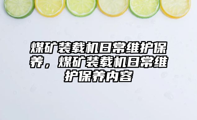 煤礦裝載機日常維護保養(yǎng)，煤礦裝載機日常維護保養(yǎng)內容