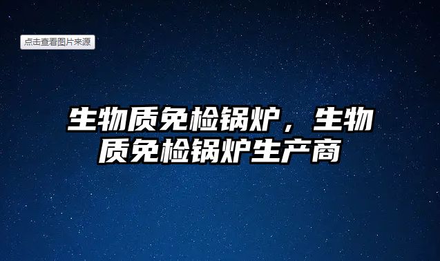 生物質(zhì)免檢鍋爐，生物質(zhì)免檢鍋爐生產(chǎn)商