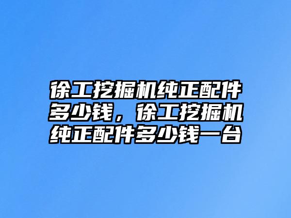 徐工挖掘機純正配件多少錢，徐工挖掘機純正配件多少錢一臺