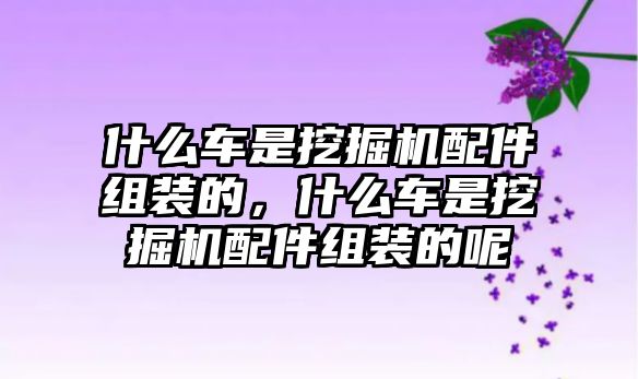 什么車是挖掘機(jī)配件組裝的，什么車是挖掘機(jī)配件組裝的呢