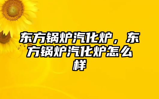 東方鍋爐汽化爐，東方鍋爐汽化爐怎么樣