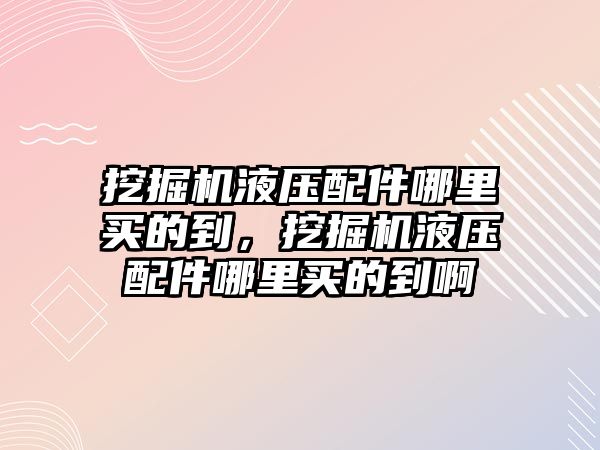 挖掘機液壓配件哪里買的到，挖掘機液壓配件哪里買的到啊