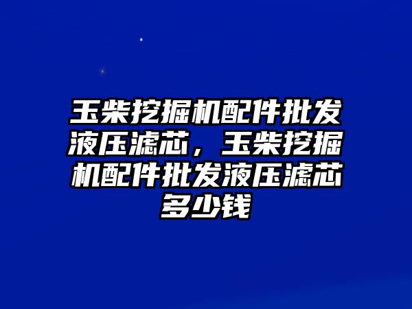 玉柴挖掘機(jī)配件批發(fā)液壓濾芯，玉柴挖掘機(jī)配件批發(fā)液壓濾芯多少錢