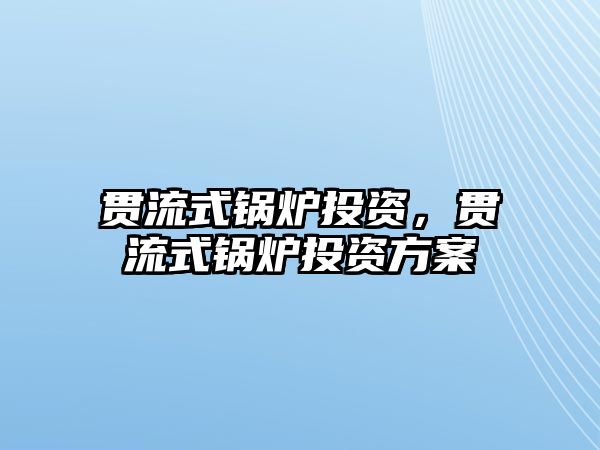 貫流式鍋爐投資，貫流式鍋爐投資方案