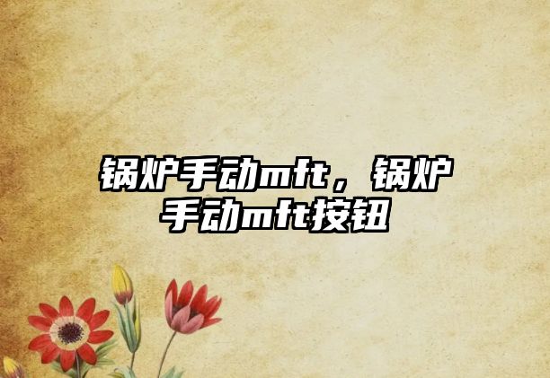 鍋爐手動(dòng)mft，鍋爐手動(dòng)mft按鈕