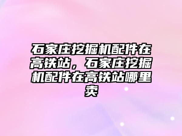 石家莊挖掘機配件在高鐵站，石家莊挖掘機配件在高鐵站哪里賣