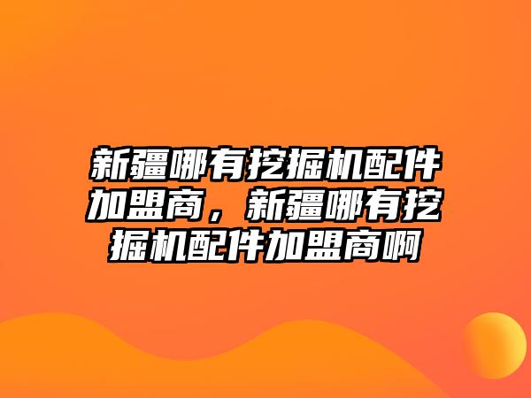 新疆哪有挖掘機配件加盟商，新疆哪有挖掘機配件加盟商啊