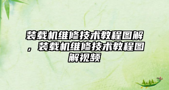 裝載機維修技術教程圖解，裝載機維修技術教程圖解視頻