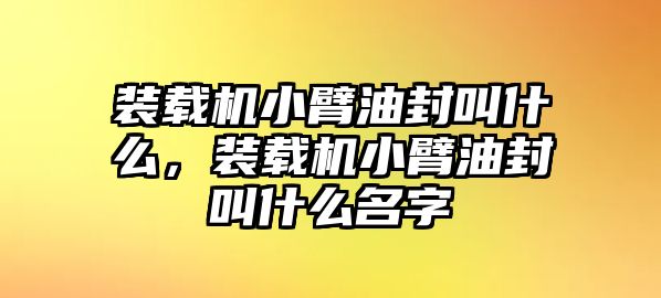 裝載機(jī)小臂油封叫什么，裝載機(jī)小臂油封叫什么名字