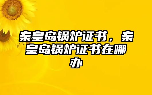 秦皇島鍋爐證書，秦皇島鍋爐證書在哪辦