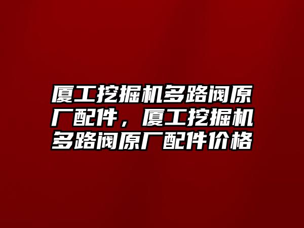 廈工挖掘機多路閥原廠配件，廈工挖掘機多路閥原廠配件價格