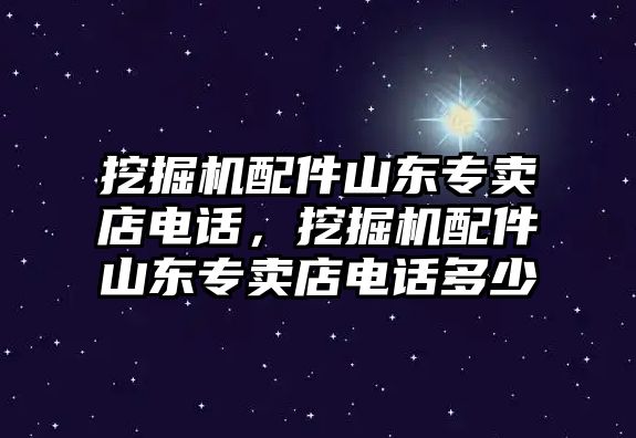 挖掘機(jī)配件山東專賣店電話，挖掘機(jī)配件山東專賣店電話多少