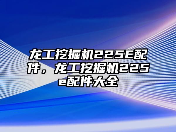 龍工挖掘機(jī)225E配件，龍工挖掘機(jī)225e配件大全