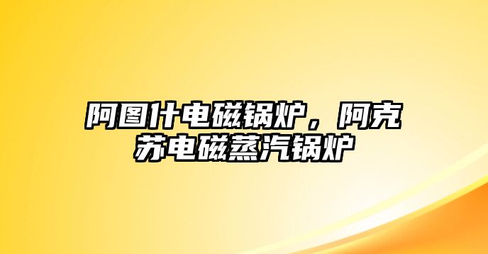 阿圖什電磁鍋爐，阿克蘇電磁蒸汽鍋爐