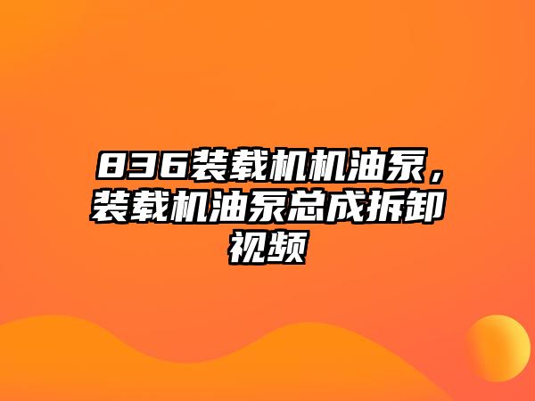 836裝載機(jī)機(jī)油泵，裝載機(jī)油泵總成拆卸視頻