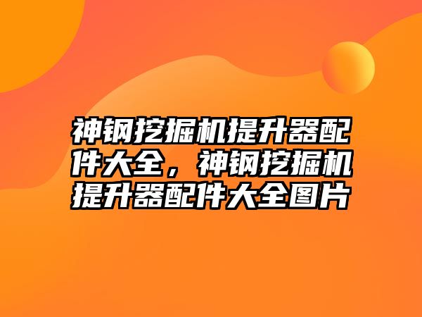 神鋼挖掘機提升器配件大全，神鋼挖掘機提升器配件大全圖片