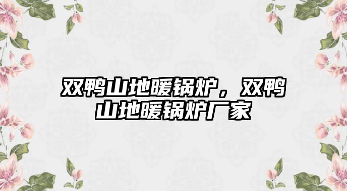 雙鴨山地暖鍋爐，雙鴨山地暖鍋爐廠家