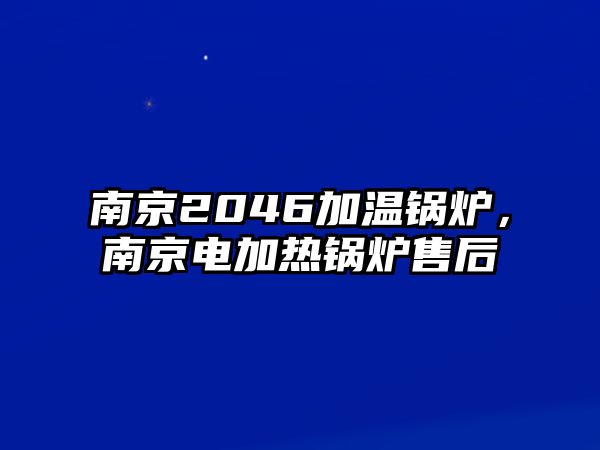 南京2046加溫鍋爐，南京電加熱鍋爐售后