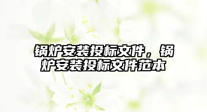 鍋爐安裝投標文件，鍋爐安裝投標文件范本