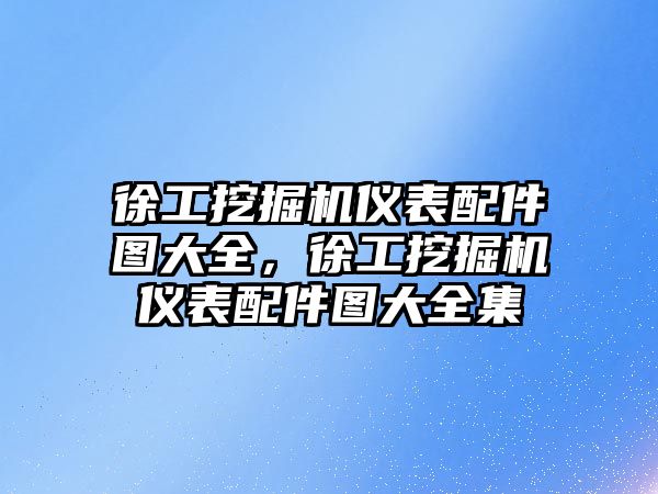 徐工挖掘機儀表配件圖大全，徐工挖掘機儀表配件圖大全集