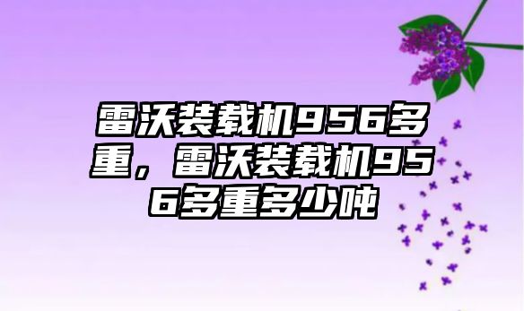 雷沃裝載機956多重，雷沃裝載機956多重多少噸