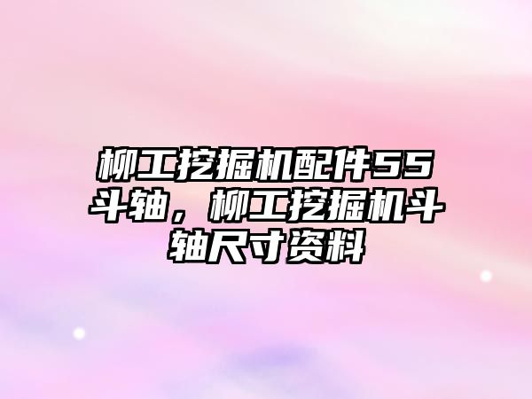 柳工挖掘機配件55斗軸，柳工挖掘機斗軸尺寸資料