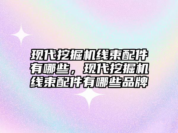 現(xiàn)代挖掘機線束配件有哪些，現(xiàn)代挖掘機線束配件有哪些品牌