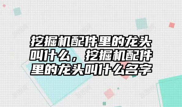 挖掘機配件里的龍頭叫什么，挖掘機配件里的龍頭叫什么名字