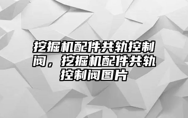 挖掘機(jī)配件共軌控制閥，挖掘機(jī)配件共軌控制閥圖片