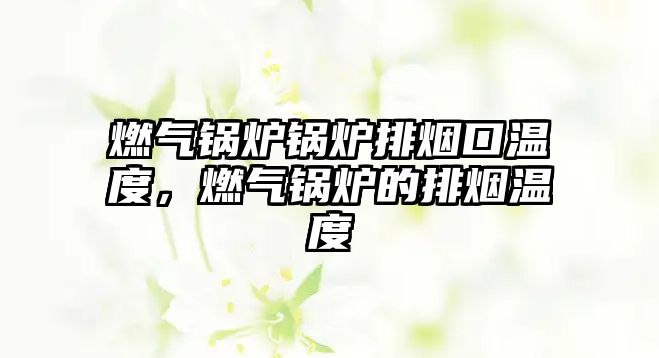 燃?xì)忮仩t鍋爐排煙口溫度，燃?xì)忮仩t的排煙溫度