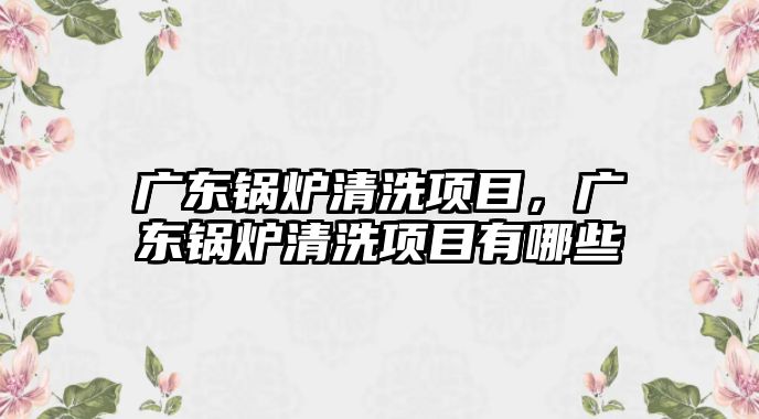 廣東鍋爐清洗項目，廣東鍋爐清洗項目有哪些