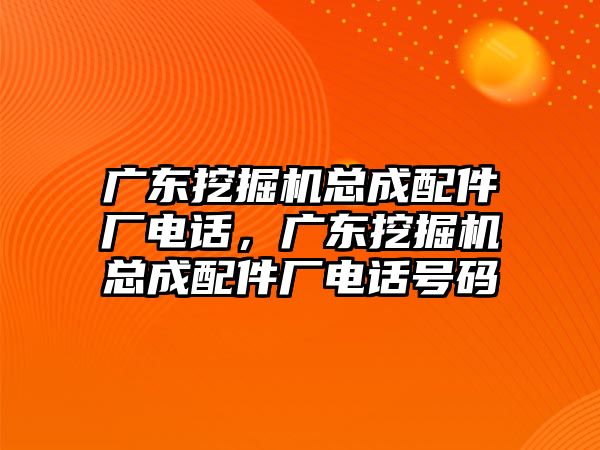 廣東挖掘機總成配件廠電話，廣東挖掘機總成配件廠電話號碼