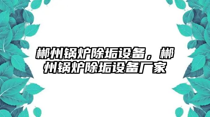 郴州鍋爐除垢設備，郴州鍋爐除垢設備廠家