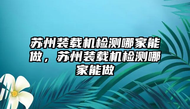 蘇州裝載機(jī)檢測(cè)哪家能做，蘇州裝載機(jī)檢測(cè)哪家能做