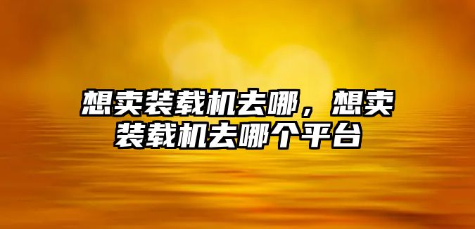 想賣裝載機去哪，想賣裝載機去哪個平臺