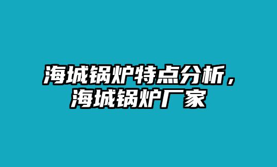 海城鍋爐特點(diǎn)分析，海城鍋爐廠家