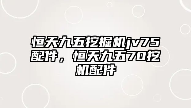 恒天九五挖掘機jv75配件，恒天九五70挖機配件