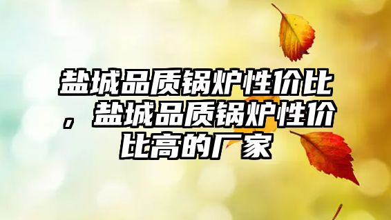 鹽城品質(zhì)鍋爐性價比，鹽城品質(zhì)鍋爐性價比高的廠家