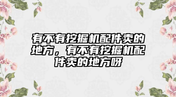 有不有挖掘機(jī)配件賣的地方，有不有挖掘機(jī)配件賣的地方呀