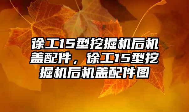 徐工15型挖掘機后機蓋配件，徐工15型挖掘機后機蓋配件圖