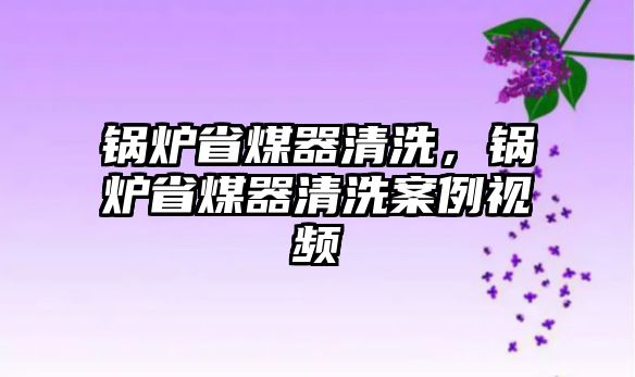 鍋爐省煤器清洗，鍋爐省煤器清洗案例視頻