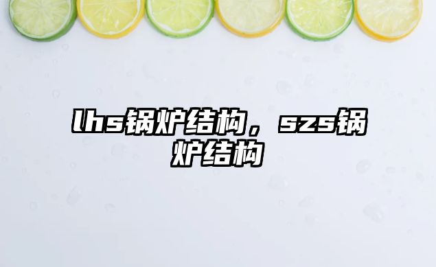 lhs鍋爐結構，szs鍋爐結構