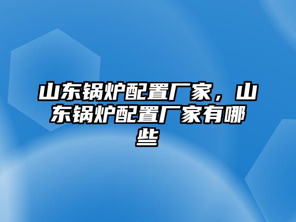 山東鍋爐配置廠家，山東鍋爐配置廠家有哪些