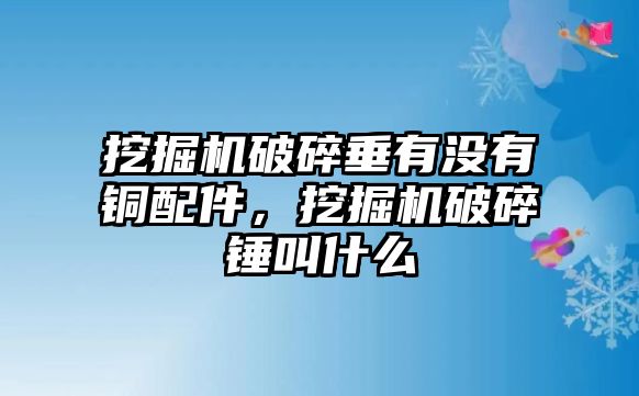 挖掘機(jī)破碎垂有沒有銅配件，挖掘機(jī)破碎錘叫什么