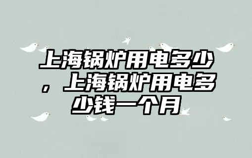 上海鍋爐用電多少，上海鍋爐用電多少錢一個(gè)月