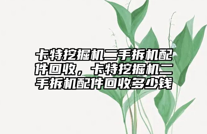 卡特挖掘機二手拆機配件回收，卡特挖掘機二手拆機配件回收多少錢